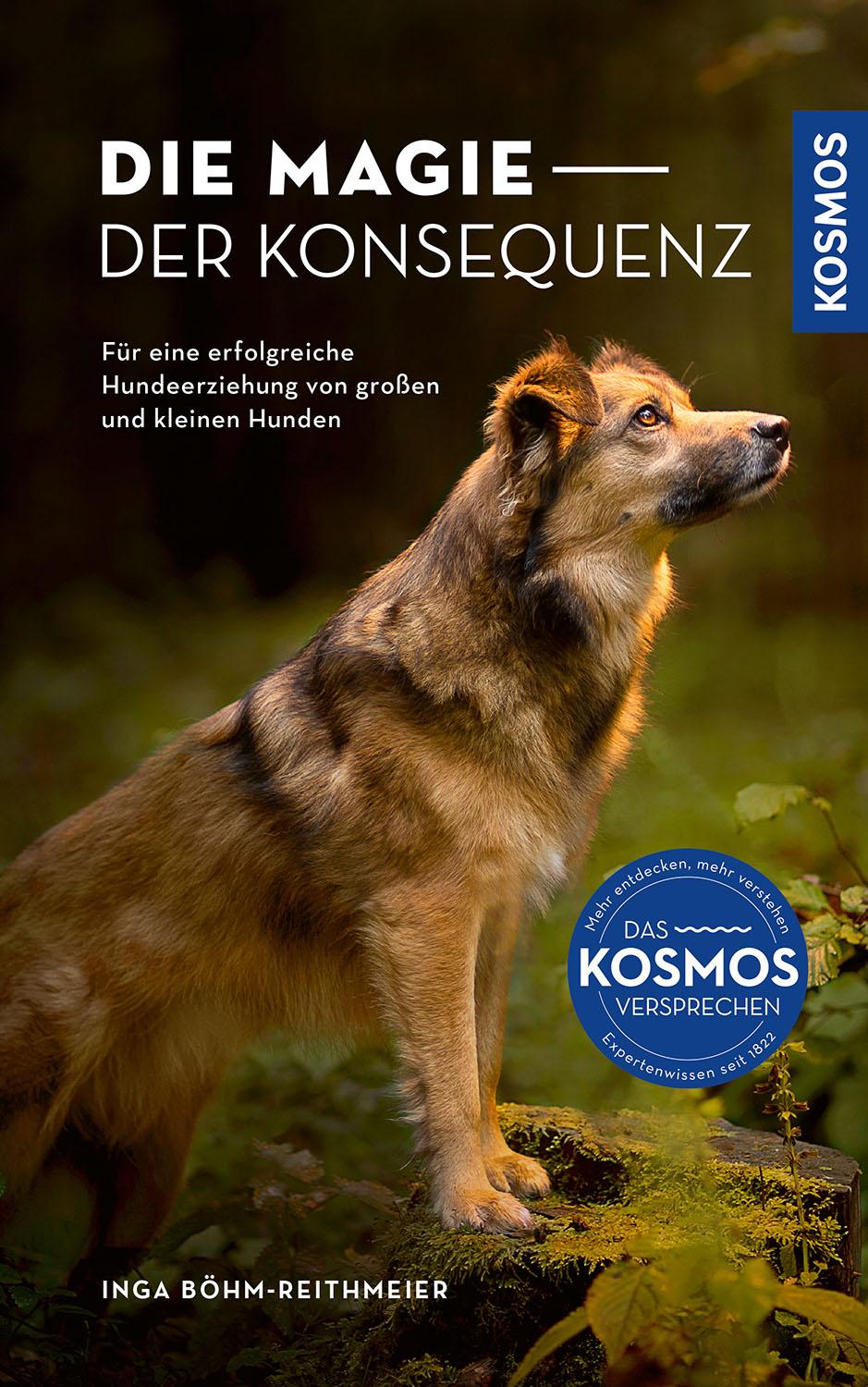 Cover: 9783440181638 | Die Magie der Konsequenz | Inga Böhm-Reithmeier | Buch | 288 S. | 2025