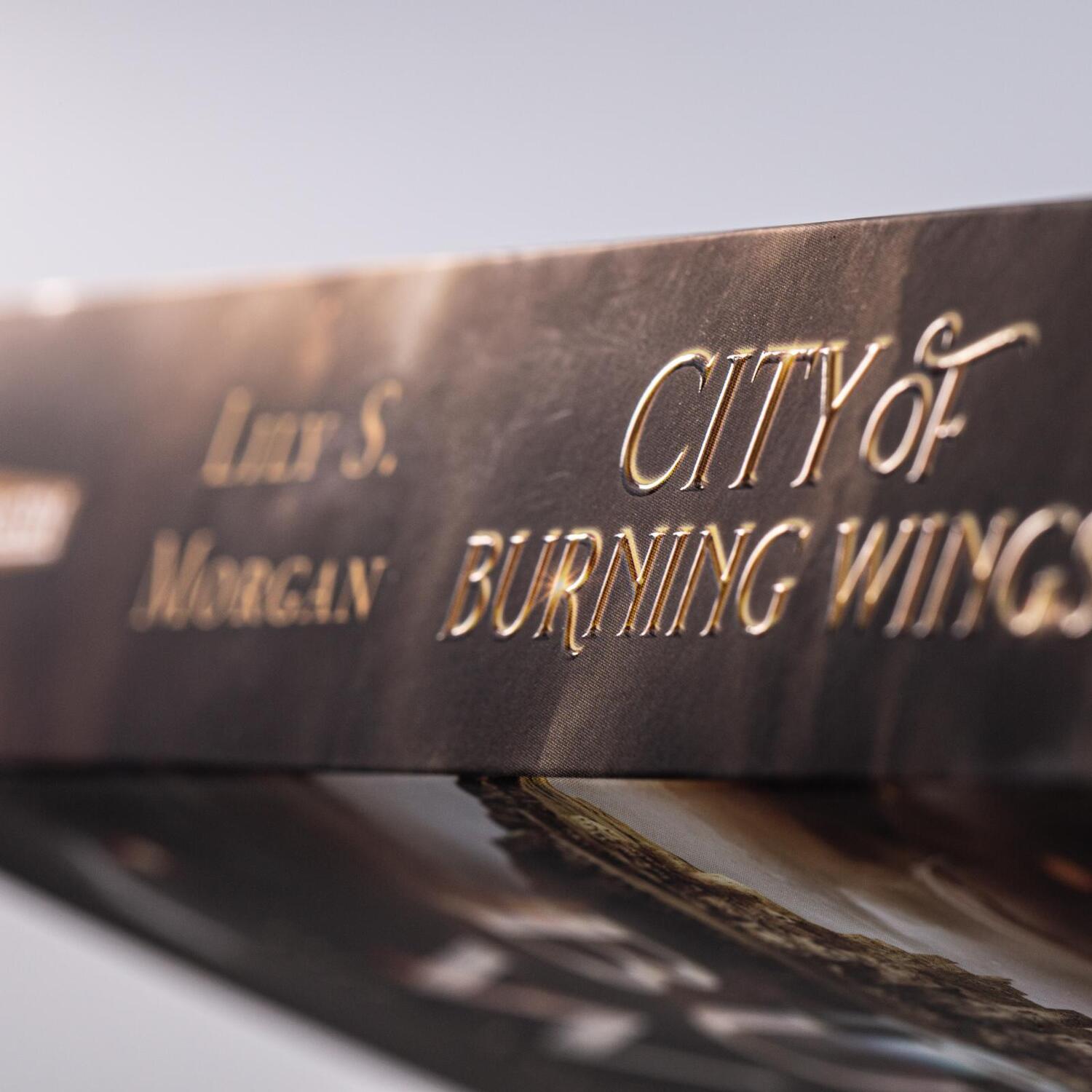 Bild: 9783551584533 | City of Burning Wings. Die Aschekriegerin | Lily S. Morgan | Buch