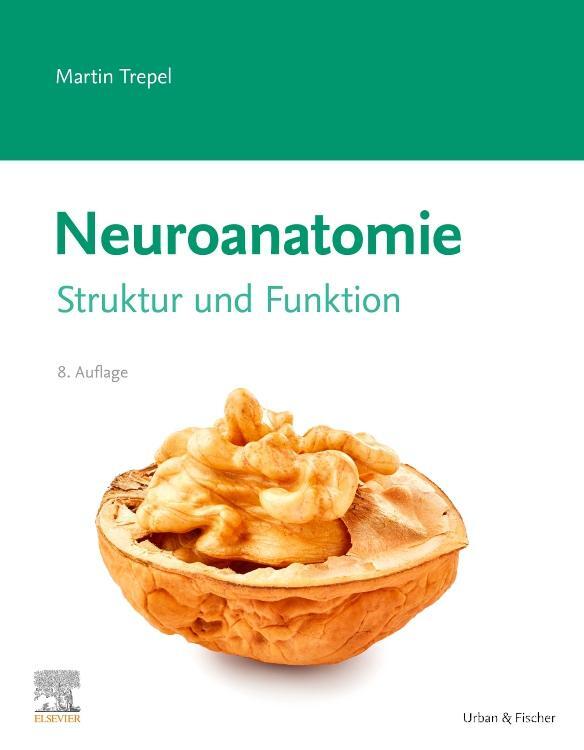 Cover: 9783437412899 | Neuroanatomie | Struktur und Funktion | Martin Trepel | Taschenbuch