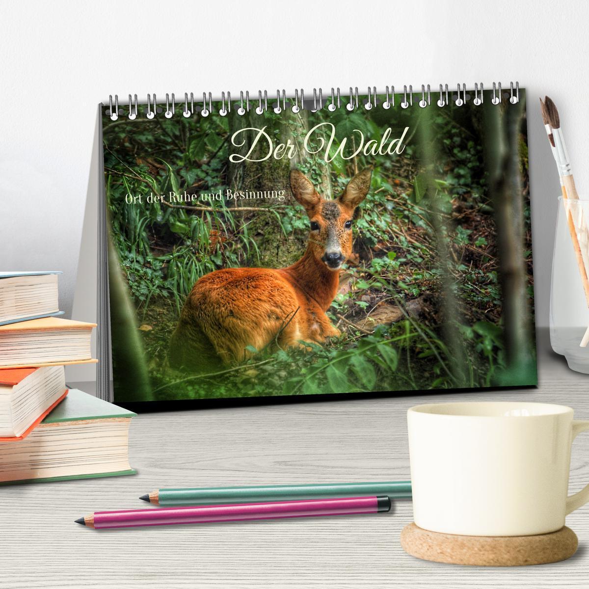 Bild: 9783383773266 | Der Wald - Ort der Ruhe und Besinnung (Tischkalender 2025 DIN A5...