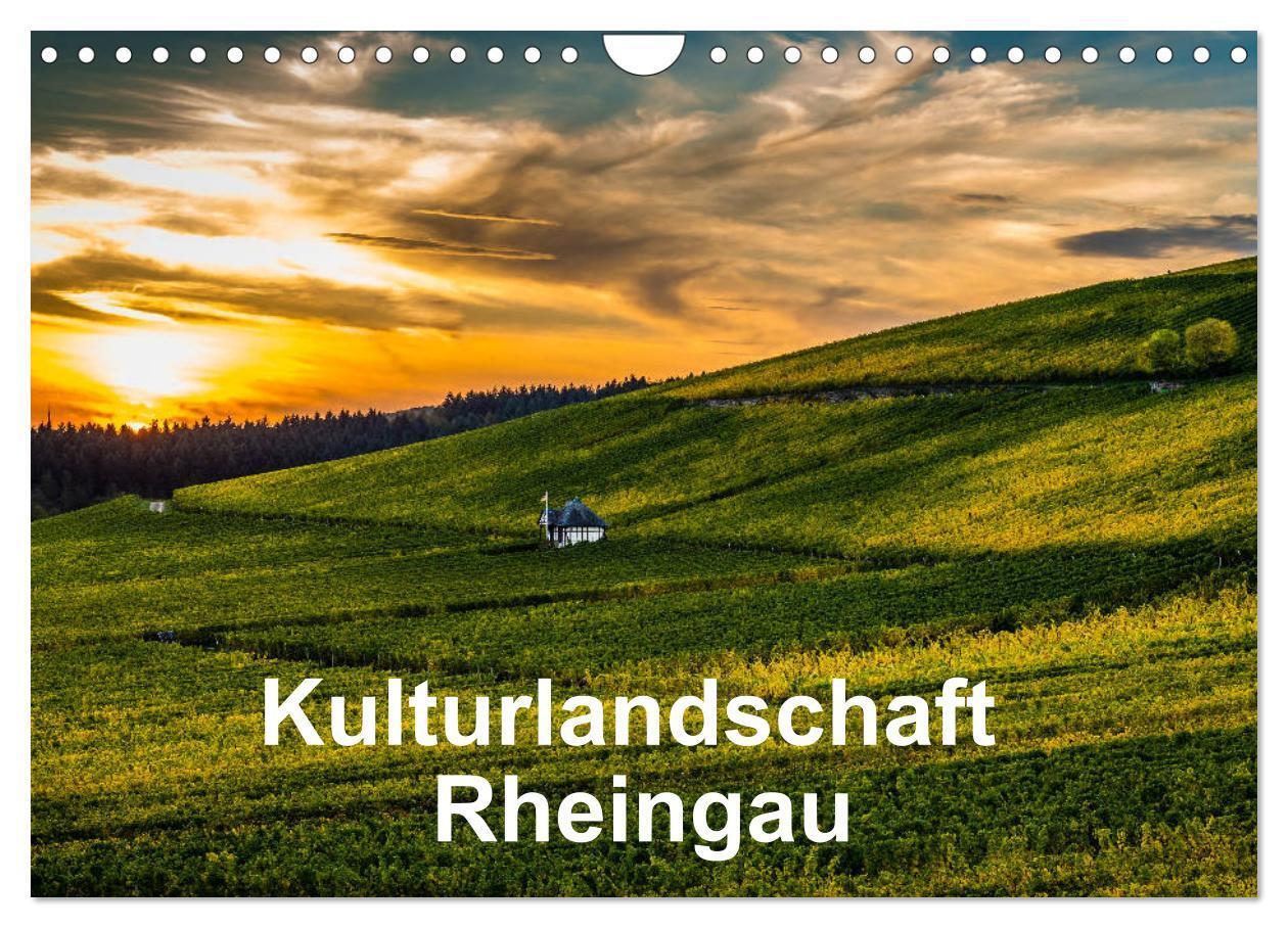 Cover: 9783383541537 | Kulturlandschaft Rheingau (Wandkalender 2024 DIN A4 quer), CALVENDO...