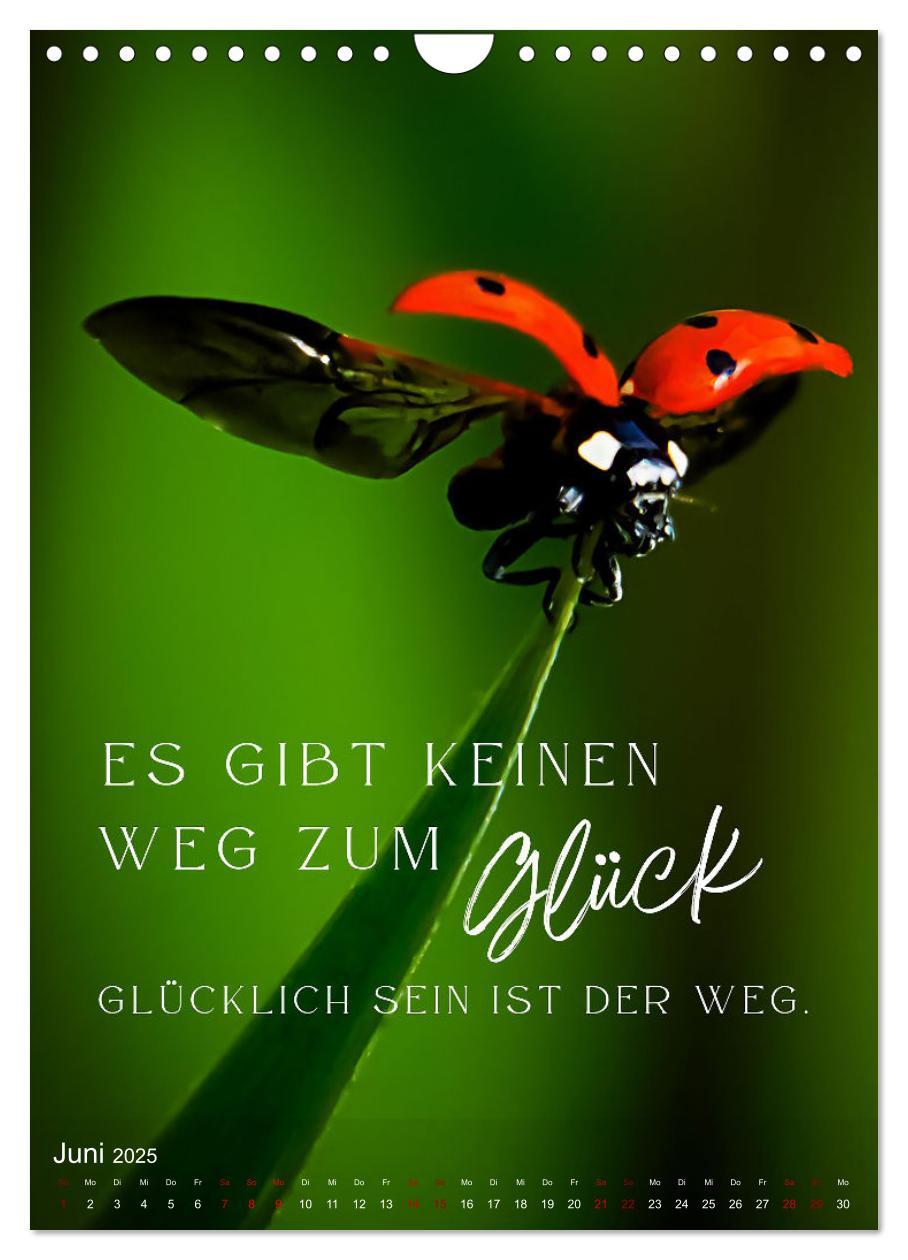 Bild: 9783457142837 | ICH WÜNSCHE DIR GLÜCK - 12 Monate mit inspirierenden Glückszitaten...