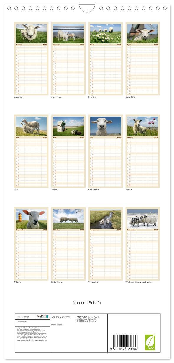 Bild: 9783457120606 | Familienplaner 2025 - Nordsee Schafe mit 5 Spalten (Wandkalender,...