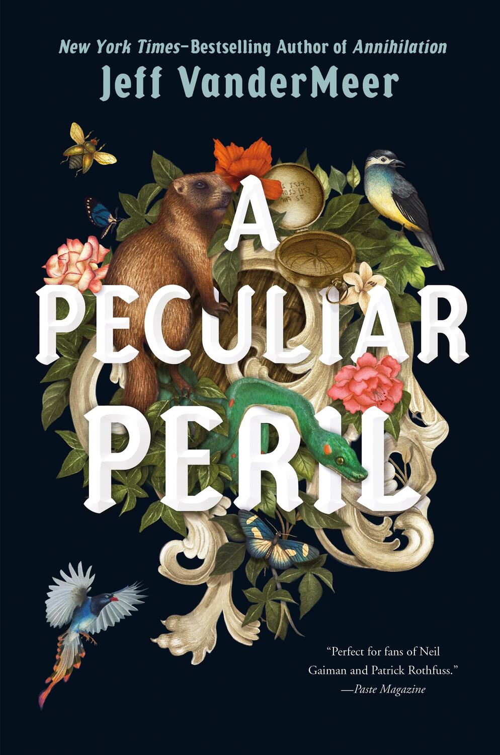 Cover: 9780374308865 | A Peculiar Peril | Jeff VanderMeer | Buch | With dust jacket | 2020