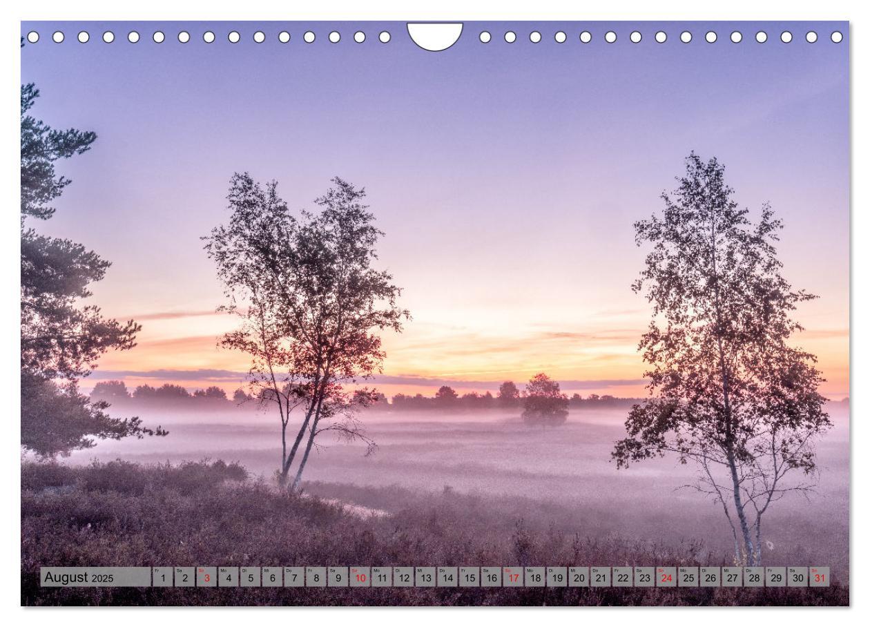 Bild: 9783383950780 | Erlebnis Wendland (Wandkalender 2025 DIN A4 quer), CALVENDO...