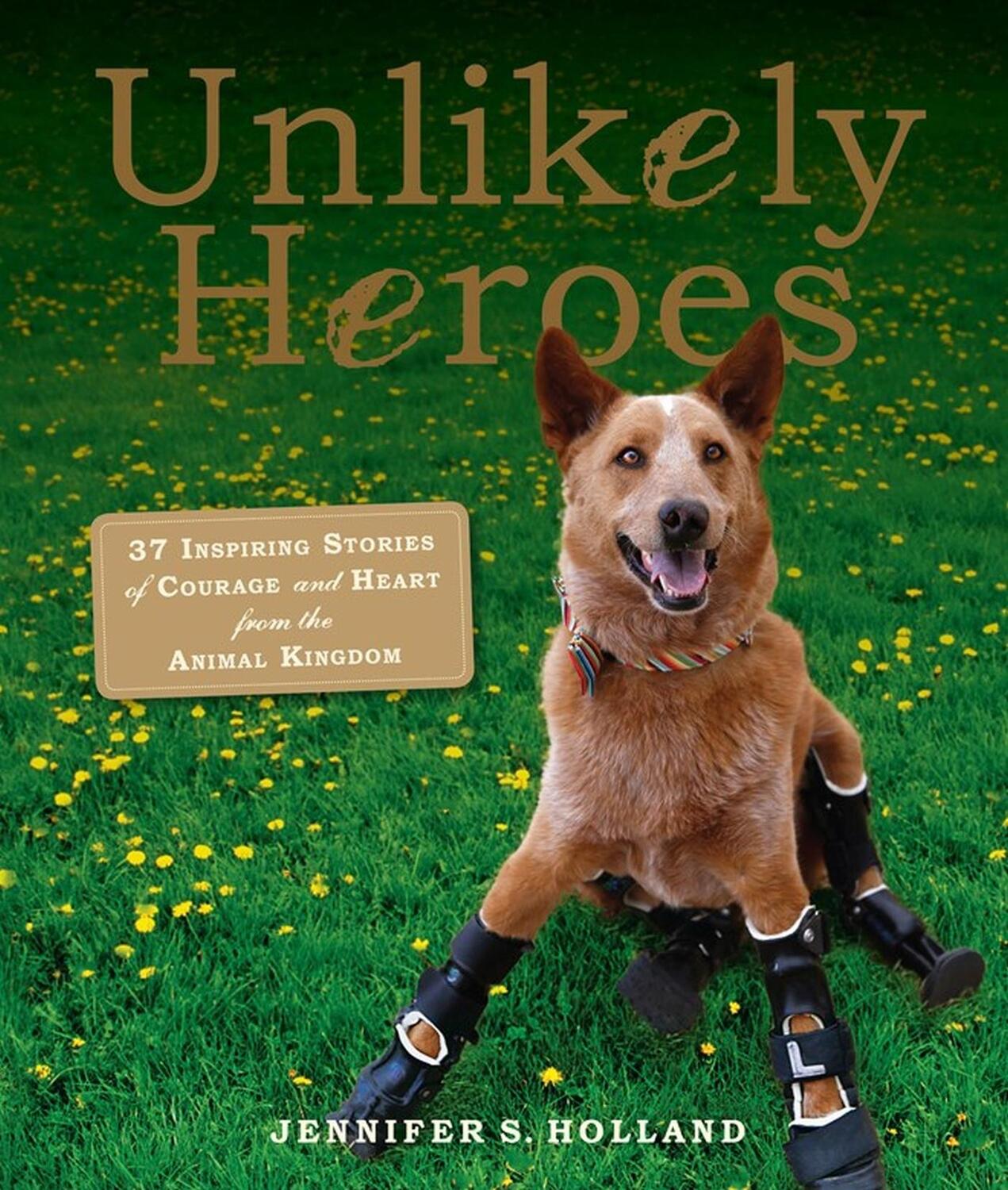 Cover: 9780761174417 | Unlikely Heroes | Jennifer S Holland | Taschenbuch | Englisch | 2014