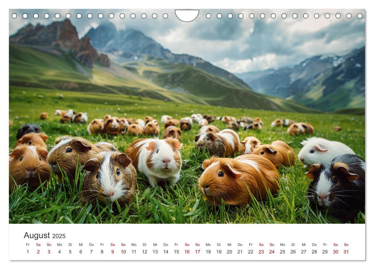 Bild: 9783383812255 | Wuschelbande - Ein Jahr voller Meerschweinchen (Wandkalender 2025...