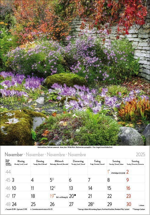 Bild: 9783731876144 | Blütenzauber 2025 | Verlag Korsch | Kalender | Spiralbindung | 13 S.
