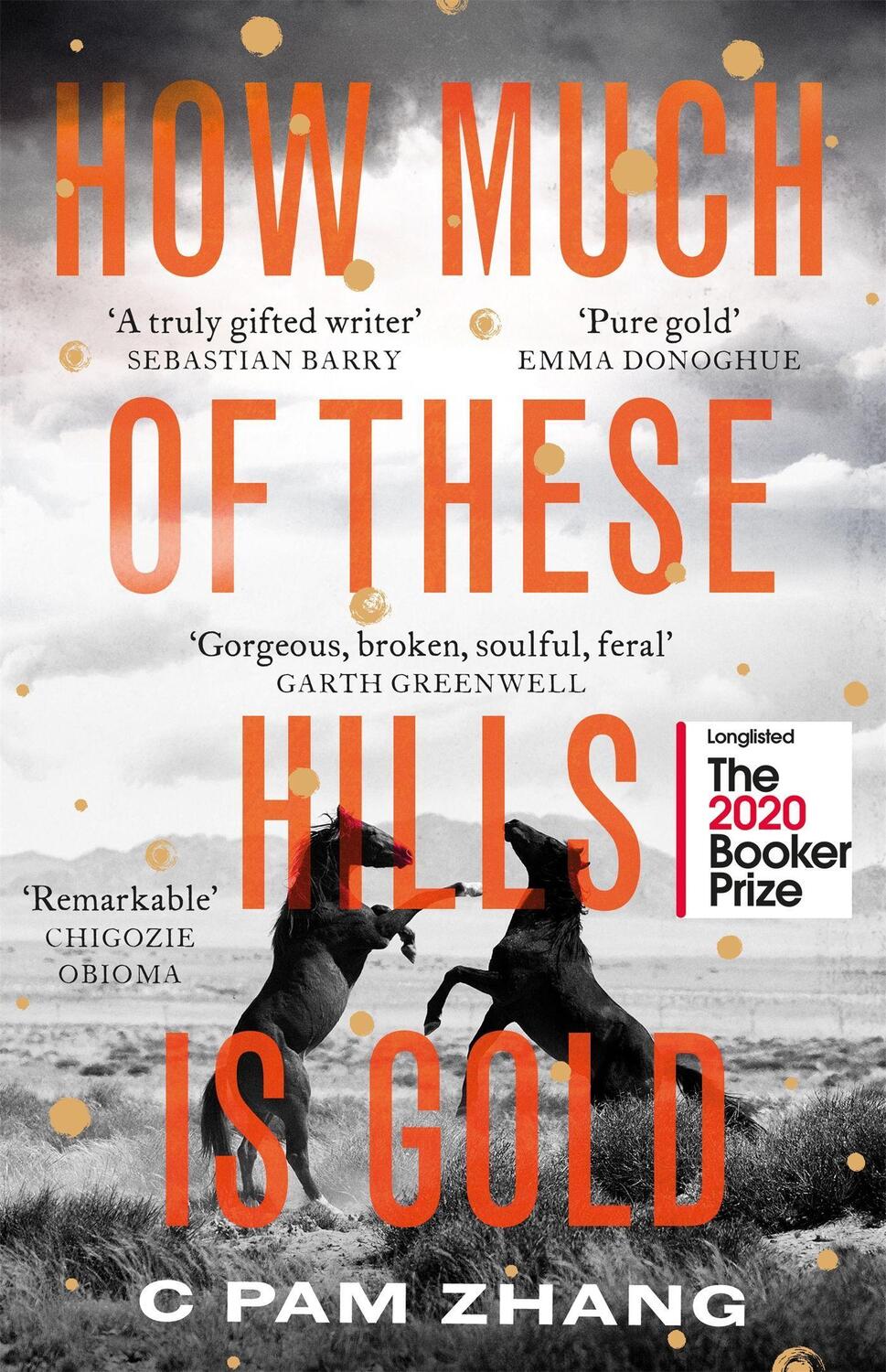Cover: 9780349011479 | How Much of These Hills is Gold | C Pam Zhang | Taschenbuch | 272 S.