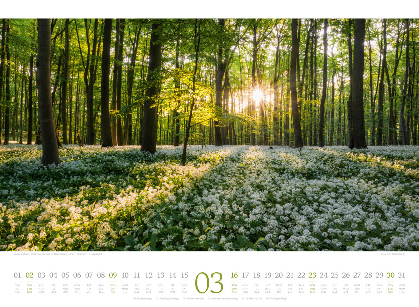 Bild: 9783838425801 | Harmonie Kalender 2025 | Ackermann Kunstverlag | Kalender | 14 S.