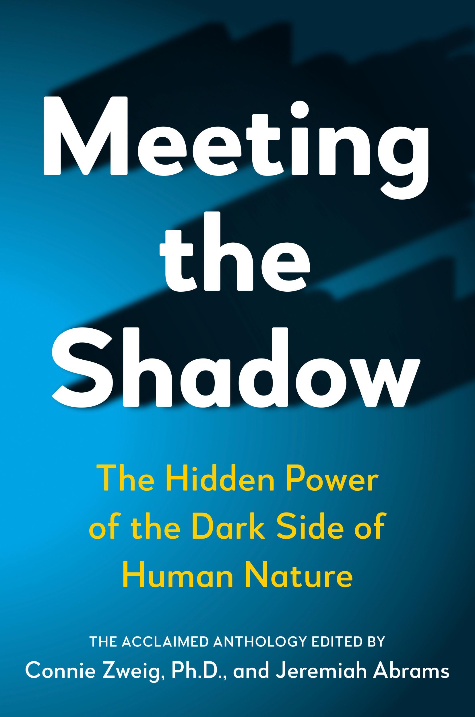 Cover: 9780874776188 | Meeting the Shadow | The Hidden Power of the Dark Side of Human Nature