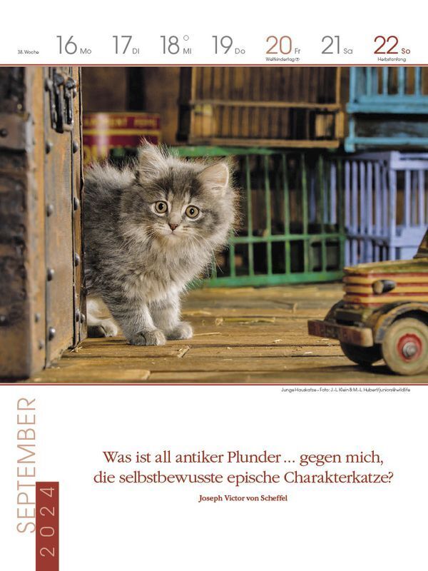 Bild: 9783731870142 | Literaturkalender Katzen 2024 | Korsch Verlag | Kalender | 54 S.