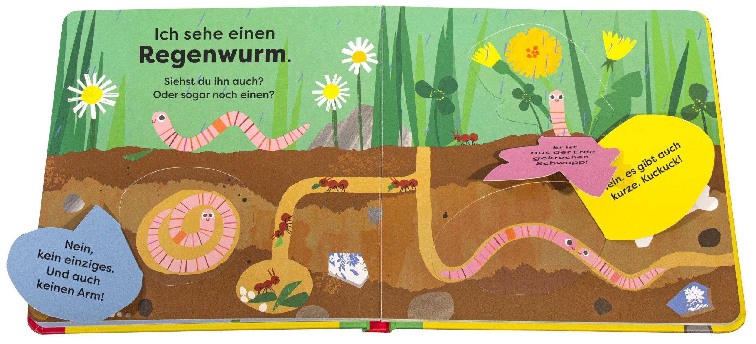 Bild: 9783831050475 | Mein erstes Natur-Entdeckerbuch. Da! Eine Schnecke | DK Verlag - Kids