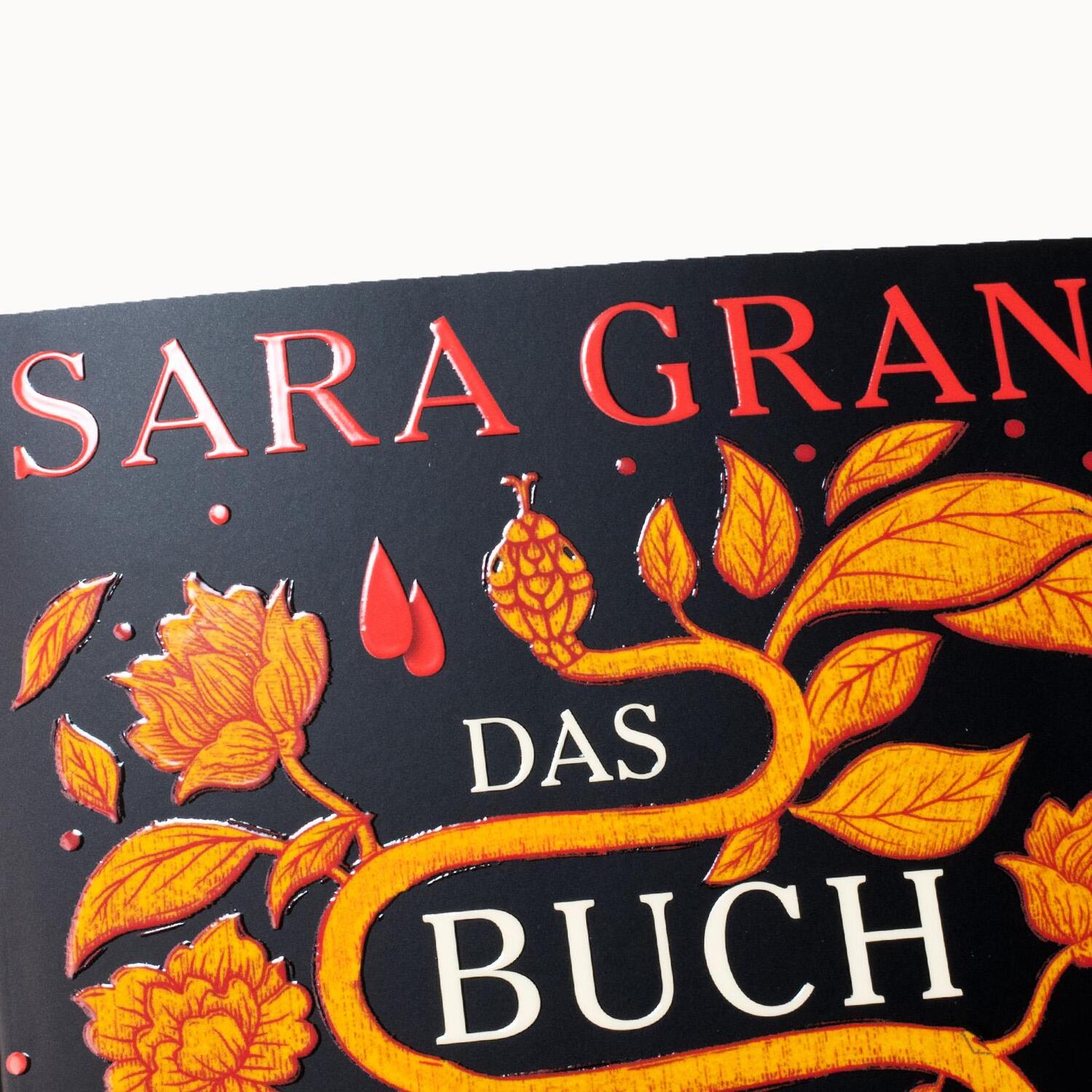 Bild: 9783518473559 | Das Buch der kostbarsten Substanz | Sara Gran | Taschenbuch | 361 S.