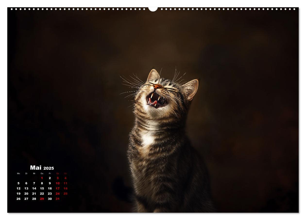 Bild: 9783457202036 | Auch Katzen lachen gern (Wandkalender 2025 DIN A2 quer), CALVENDO...