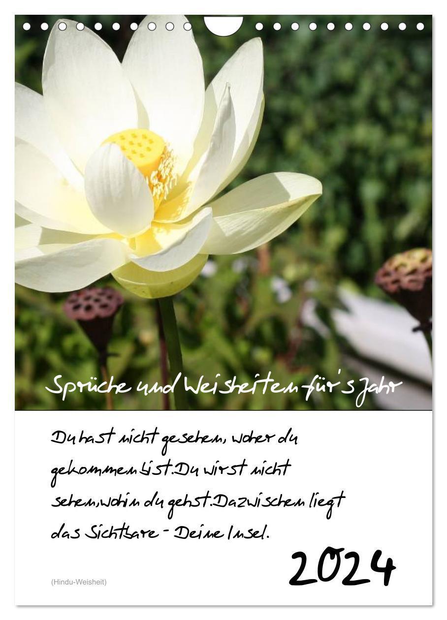 Cover: 9783383634932 | Sprüche und Weisheiten für´ s Jahr (Wandkalender 2024 DIN A4 hoch),...