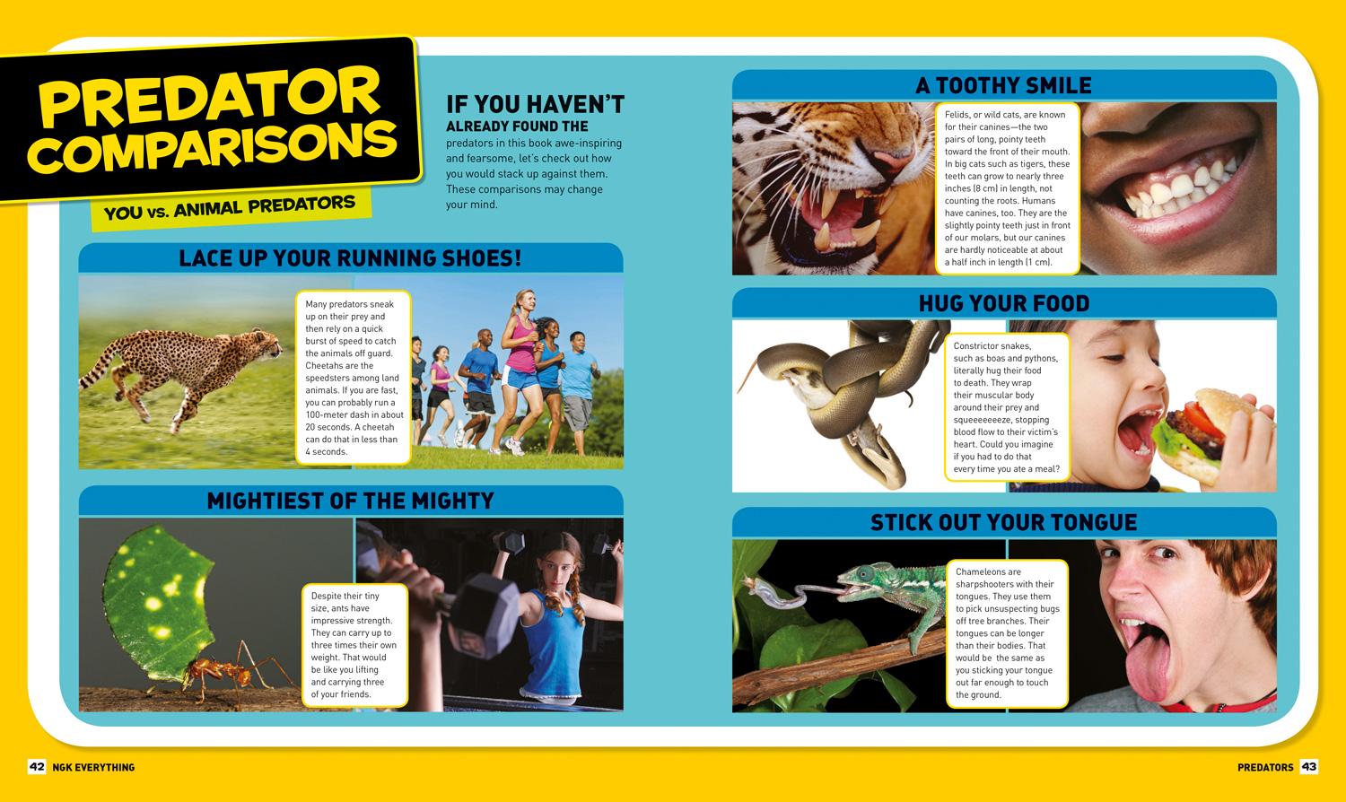 Bild: 9781426325342 | National Geographic Kids Everything Predators | Blake Hoena | Buch