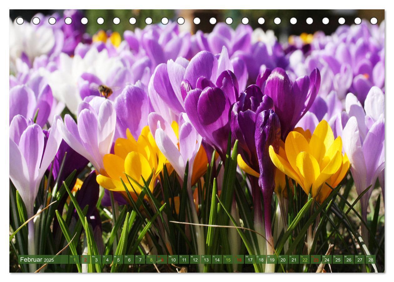 Bild: 9783383761072 | Blütenwunder - Mit Blumen durchs ganze Gartenjahr (Tischkalender...