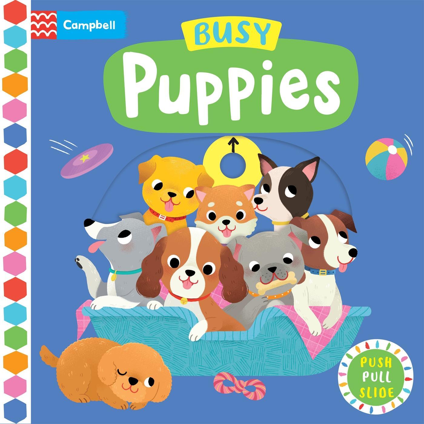 Cover: 9781529084771 | Busy Puppies | Campbell Books | Buch | Papp-Bilderbuch | Englisch