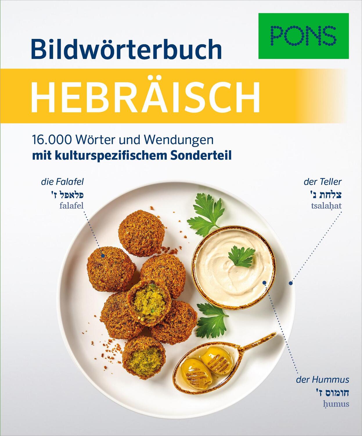 Cover: 9783125163546 | PONS Bildwörterbuch Hebräisch | Taschenbuch | PONS Bildwörterbuch