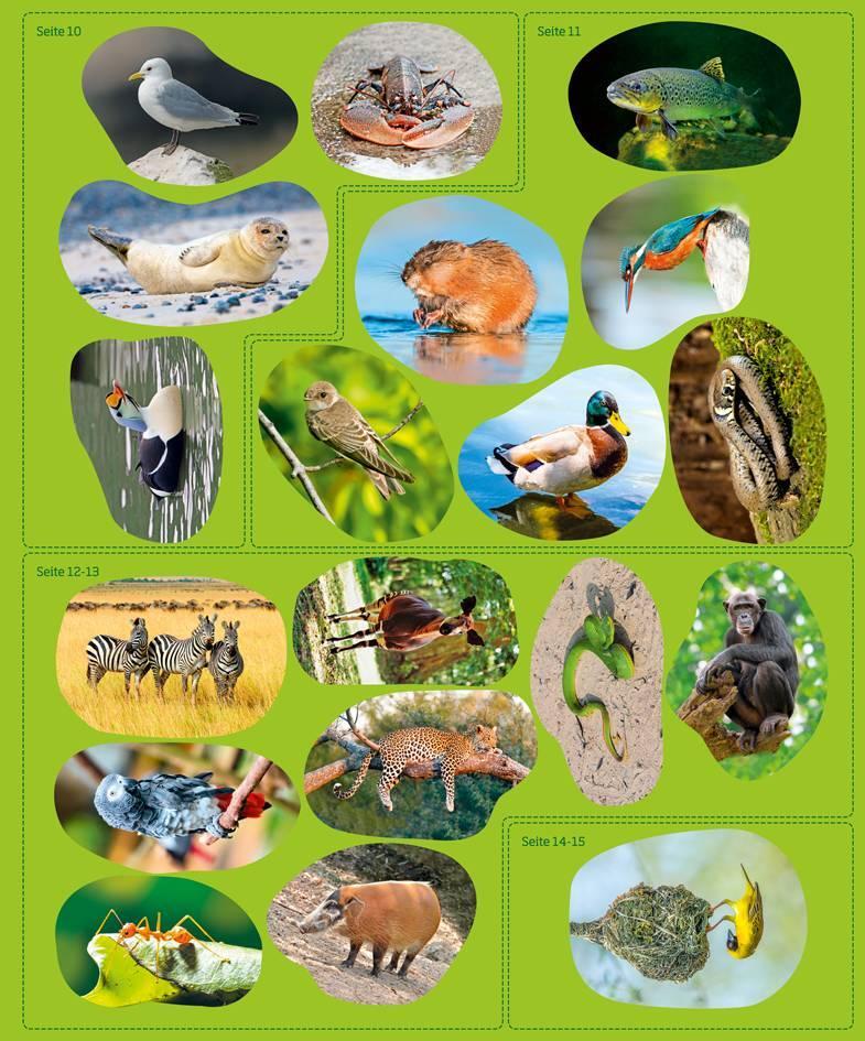 Bild: 9783788621582 | WAS IST WAS Sticker-Atlas Tiere | Taschenbuch | 32 S. | Deutsch | 2017