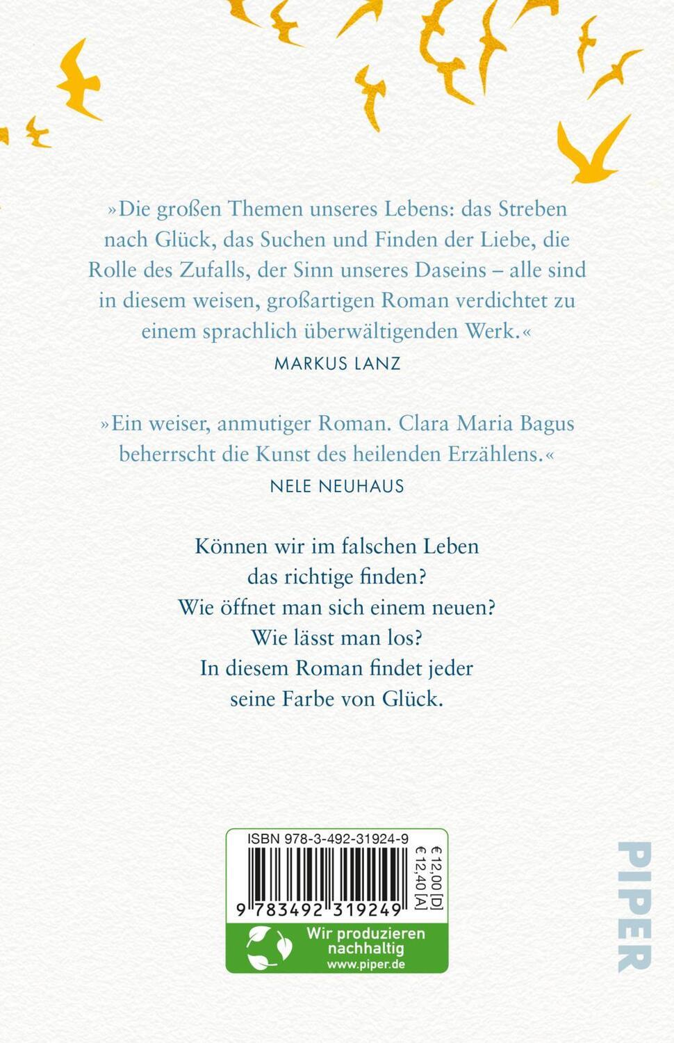 Rückseite: 9783492319249 | Die Farbe von Glück | Clara Maria Bagus | Taschenbuch | 352 S. | 2022