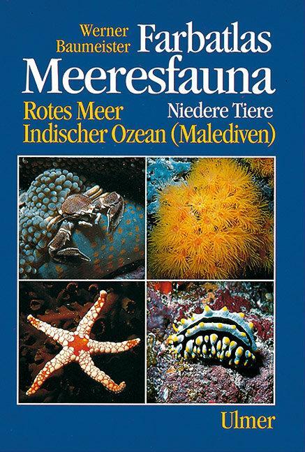 Cover: 9783800172658 | Farbatlas Meeresfauna | Werner Baumeister | Taschenbuch | 320 S.
