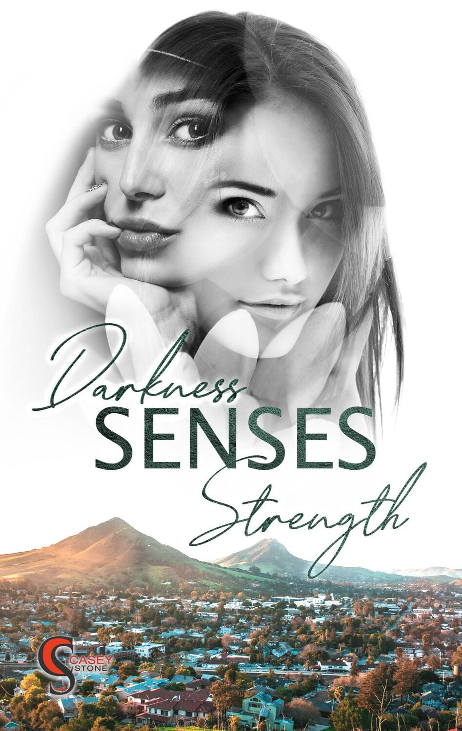 Cover: 9783757820381 | Darkness. Senses, Strength | Casey Stone | Taschenbuch | Paperback