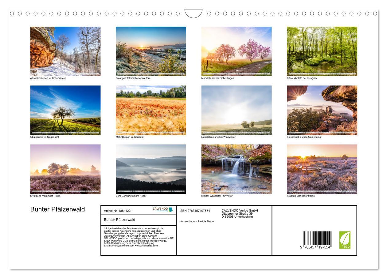 Bild: 9783457197554 | Bunter Pfälzerwald (Wandkalender 2025 DIN A3 quer), CALVENDO...