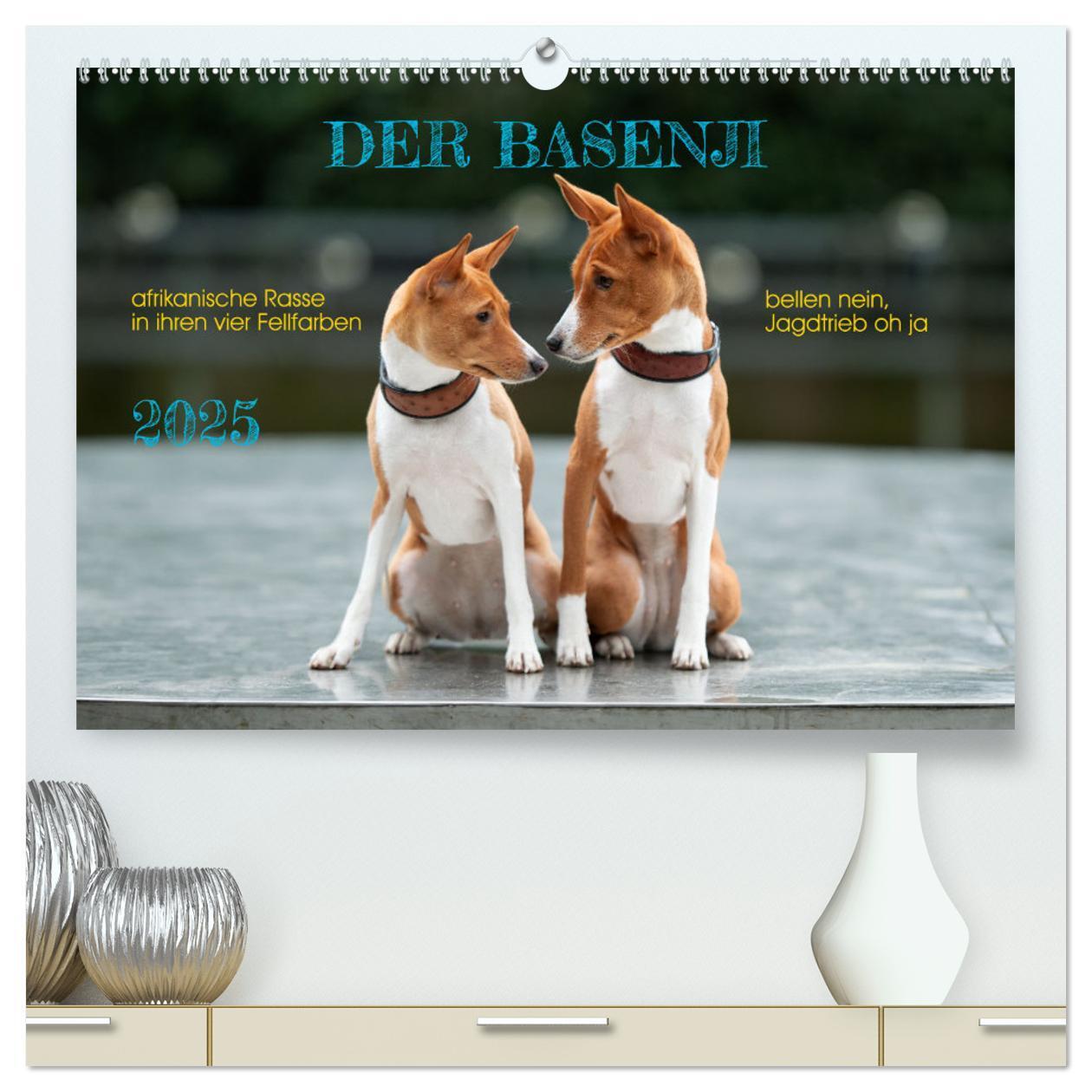 Cover: 9783457196021 | Der Basenji (hochwertiger Premium Wandkalender 2025 DIN A2 quer),...