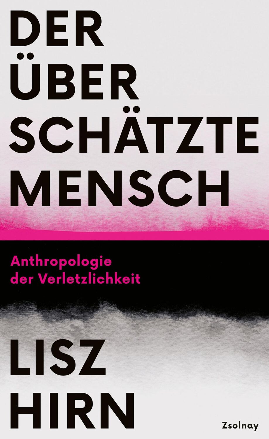 Cover: 9783552073432 | Der überschätzte Mensch | Anthropologie der Verletzlichkeit | Hirn