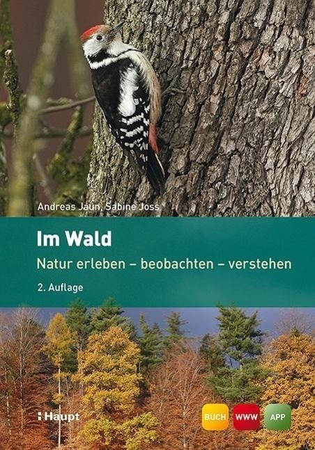Cover: 9783258079004 | Im Wald | Natur erleben - beobachten - verstehen | Jaun (u. a.) | Buch