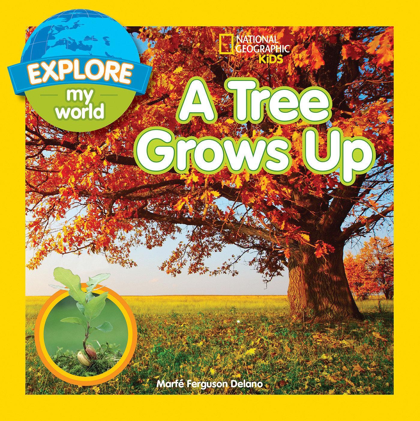 Cover: 9781426324291 | Explore My World: A Tree Grows Up | Marfe Ferguson Delano | Buch