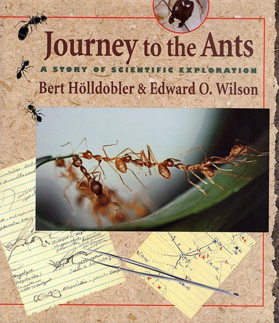 Cover: 9780674485266 | Journey to the Ants | A Story of Scientific Exploration | Taschenbuch