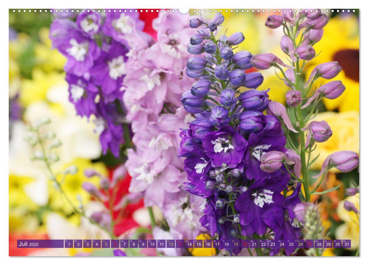 Bild: 9783383761119 | Blütenwunder - Mit Blumen durchs ganze Gartenjahr (hochwertiger...