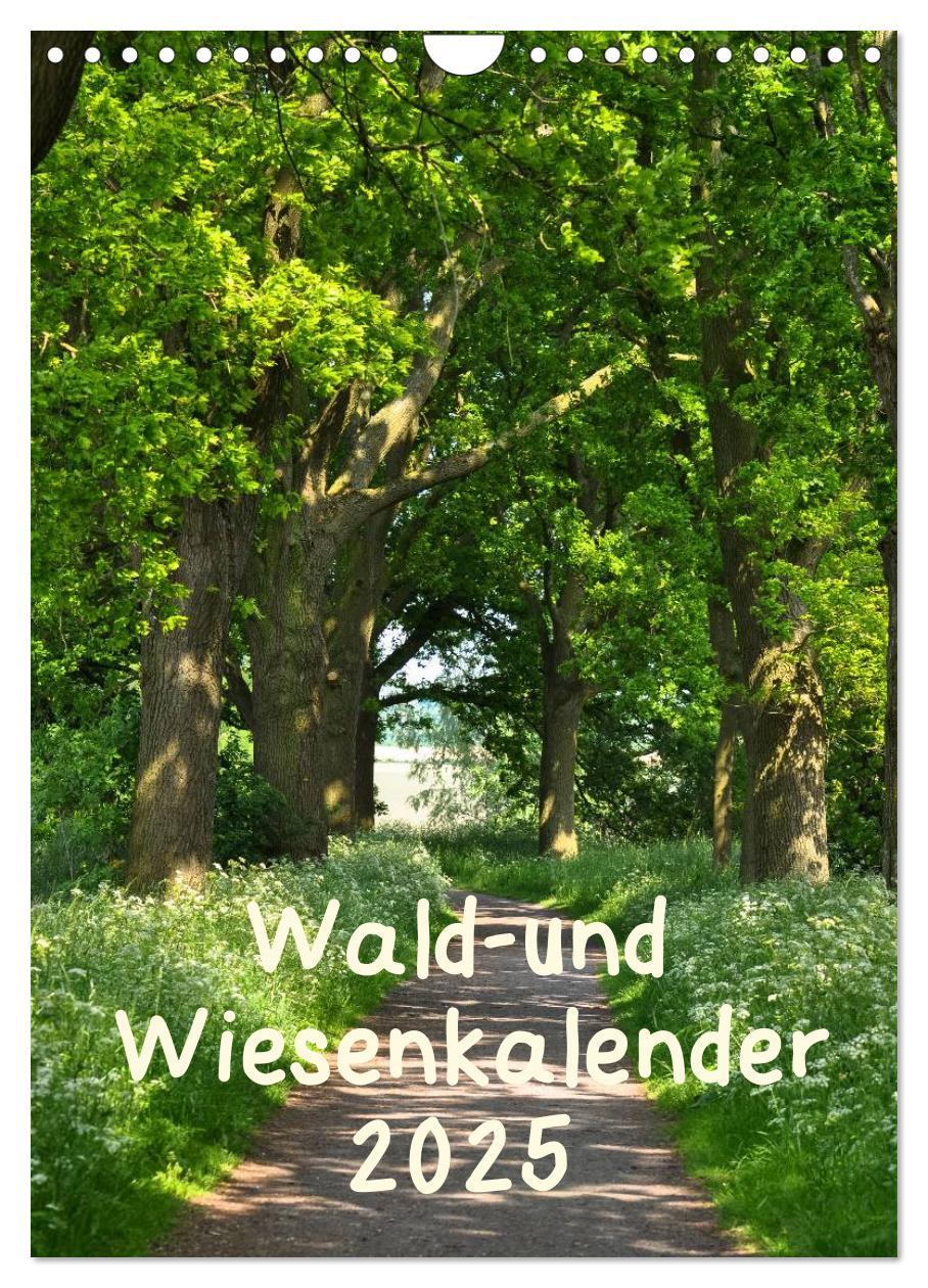 Cover: 9783457055540 | Wald- und Wiesenkalender 2025 Planer (Wandkalender 2025 DIN A4...