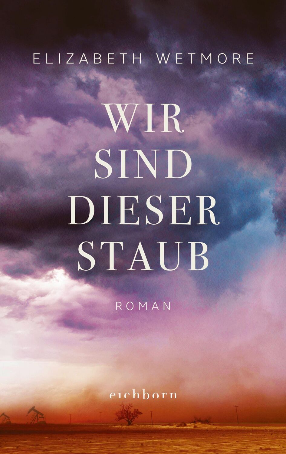 Cover: 9783847900924 | Wir sind dieser Staub | Roman | Elizabeth Wetmore | Buch | 320 S.