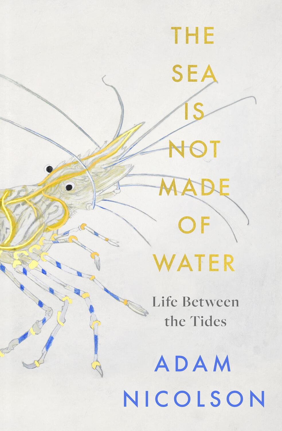 Cover: 9780008294779 | The Sea is Not Made of Water | Life Between the Tides | Adam Nicolson