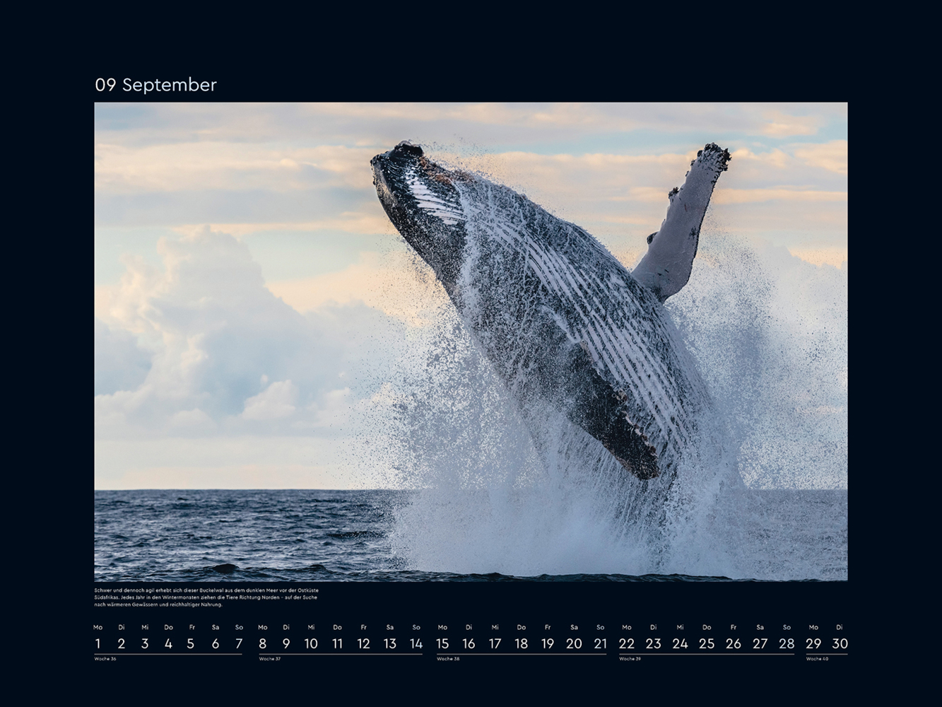 Bild: 9783965913516 | Magische Momente - KUNTH Wandkalender 2025 | Kalender | 14 S. | 2025