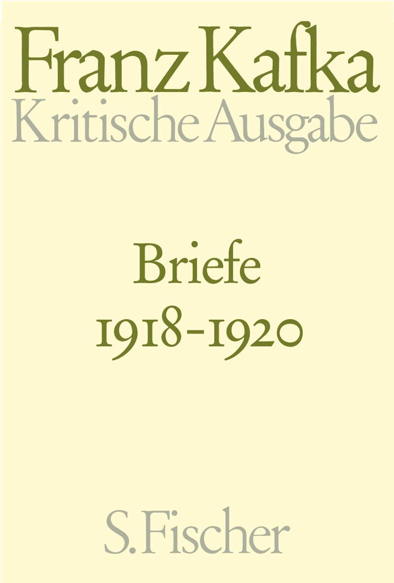 Cover: 9783100381620 | Briefe 4. 1918 - 1920 | Band 4 | Franz Kafka | Buch | Schuber | 2013
