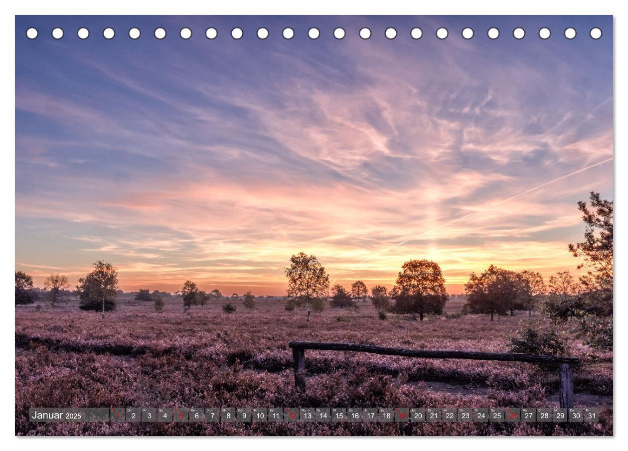 Bild: 9783383853005 | Die Lüneburger Heide - In voller Blüte (Tischkalender 2025 DIN A5...