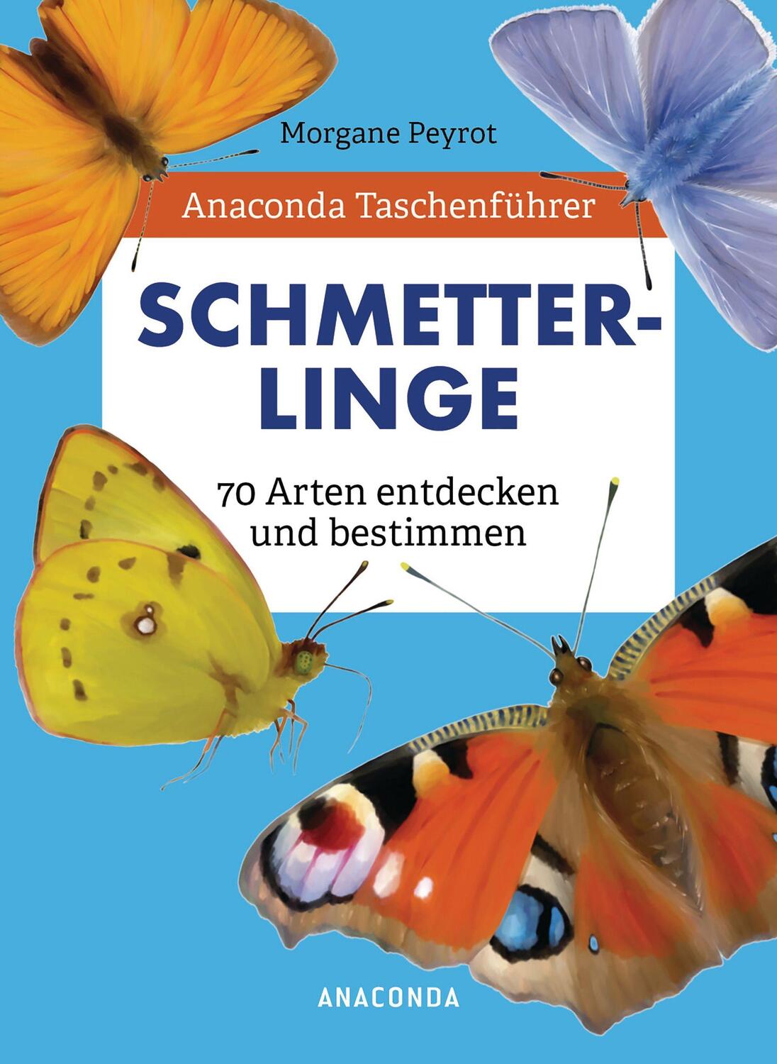 Cover: 9783730610589 | Anaconda Taschenführer Schmetterlinge. 70 Arten entdecken und...