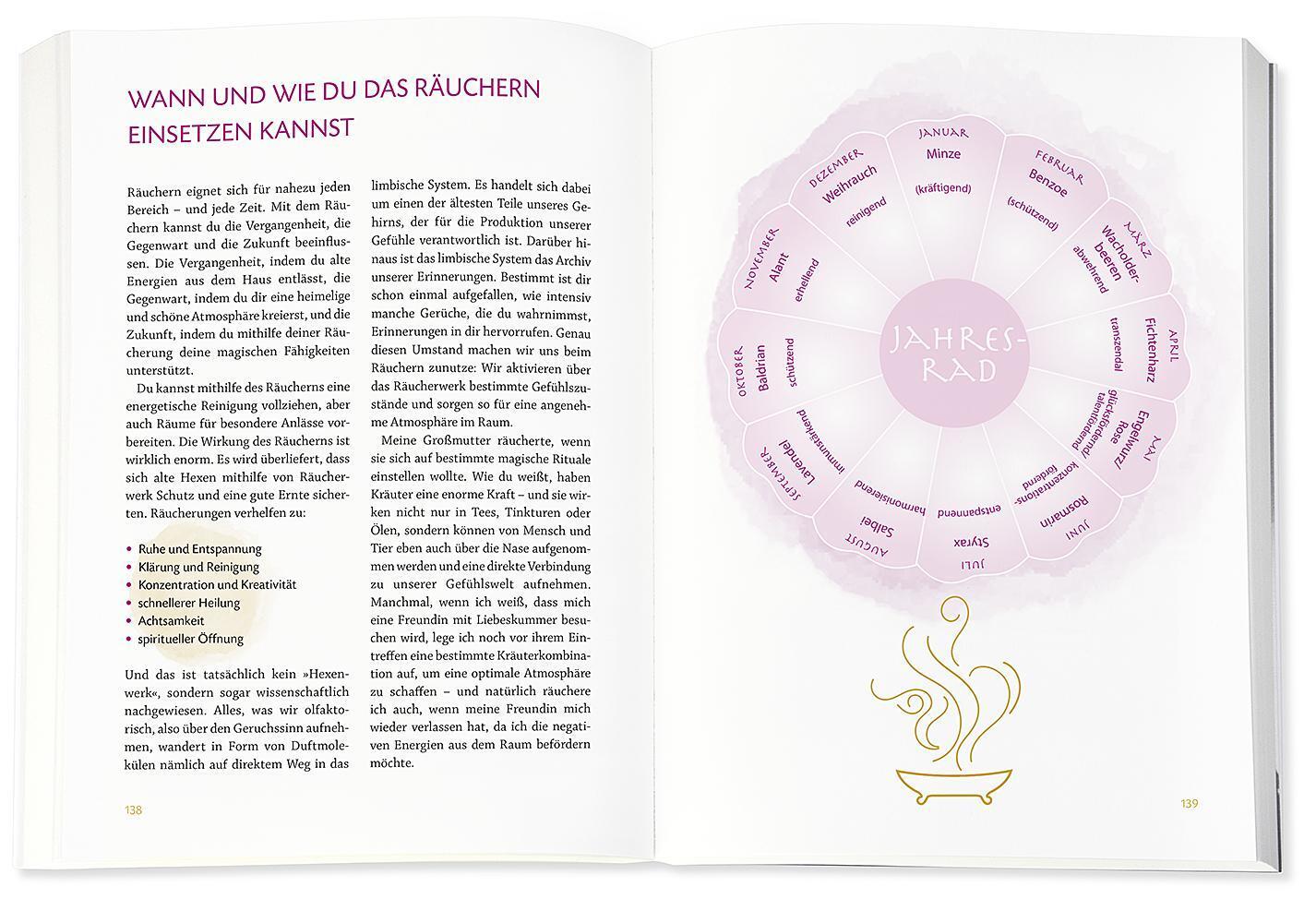 Bild: 9783426675960 | Die Hexenschule | Birgit Jankovic-Steiner | Buch | 224 S. | Deutsch