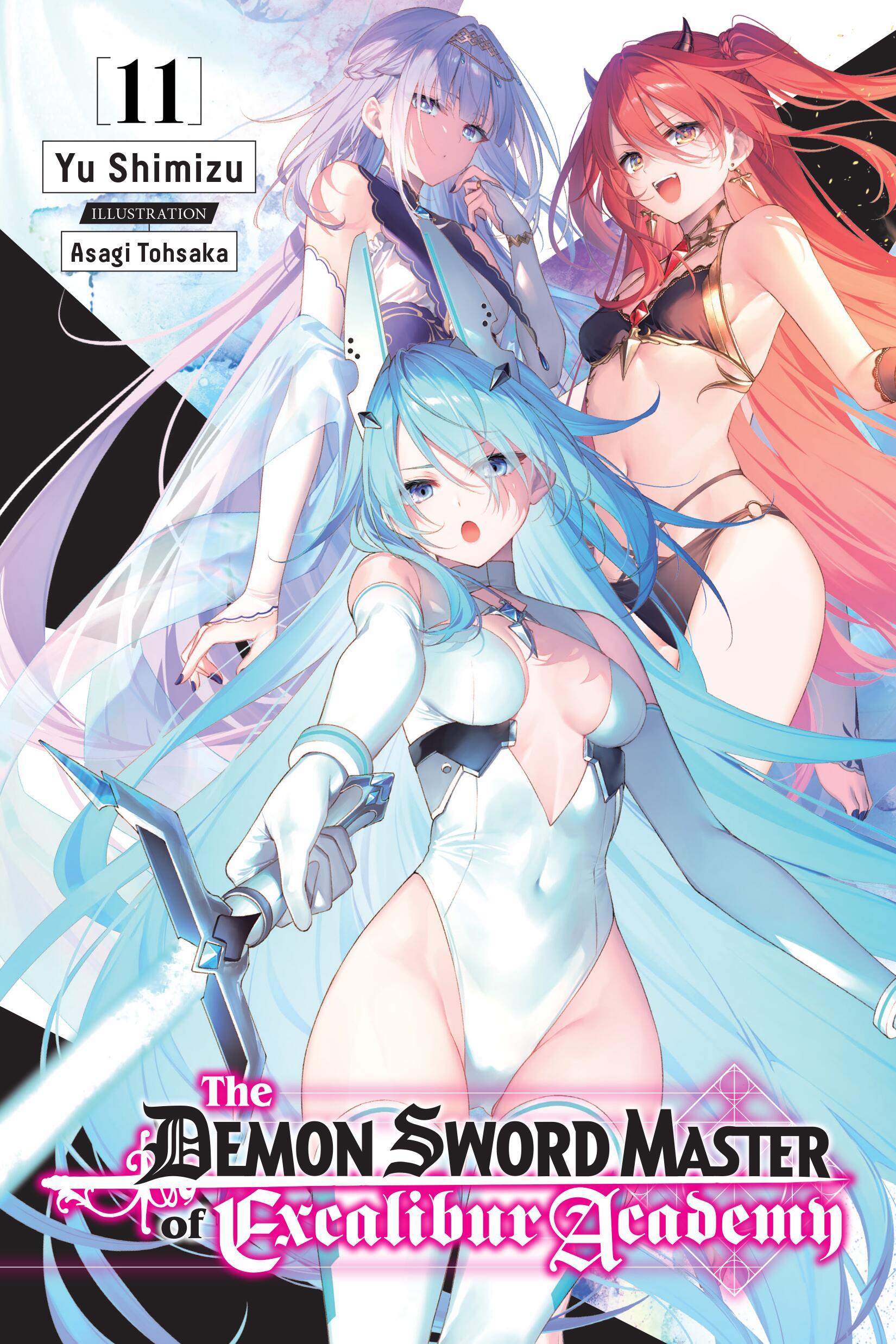 Cover: 9781975320720 | The Demon Sword Master of Excalibur Academy, Vol. 4 (light novel)