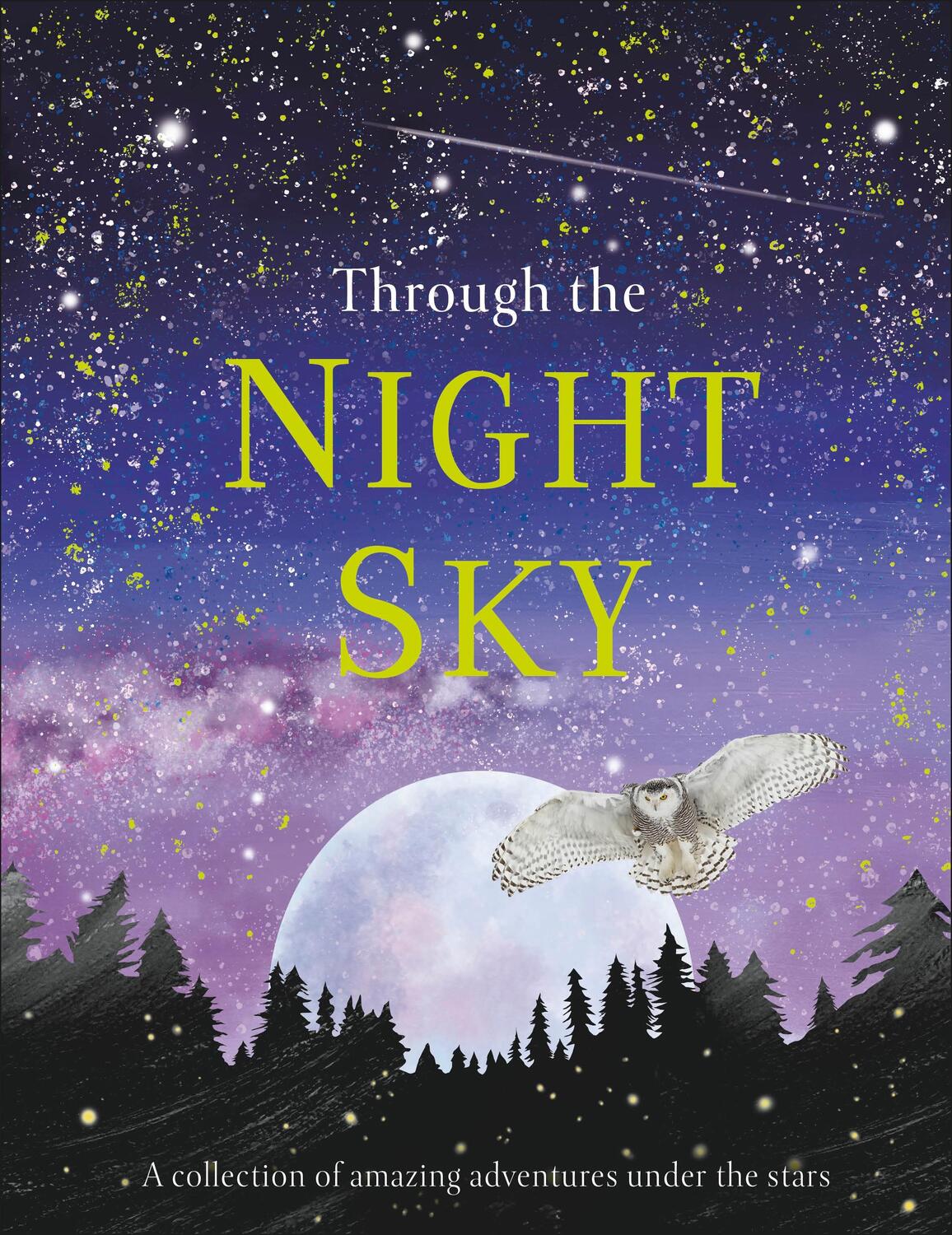 Cover: 9780241355459 | Through the Night Sky | DK | Buch | Journey Through | Gebunden | 2020