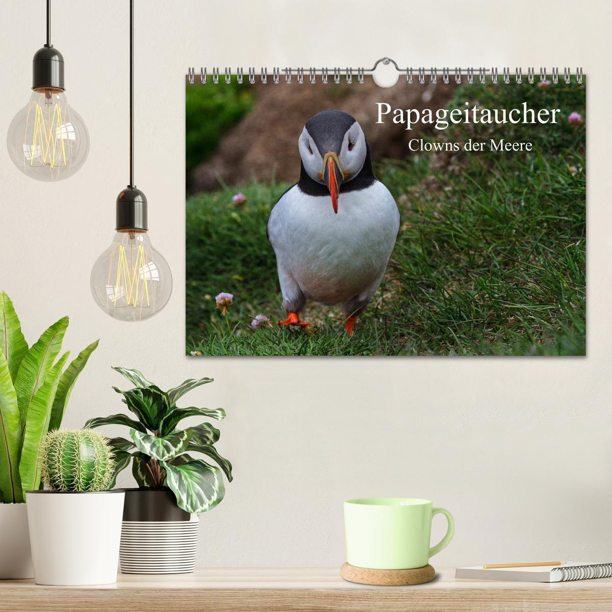 Bild: 9783435800087 | Papageitaucher Clowns der Meere (Wandkalender 2025 DIN A4 quer),...