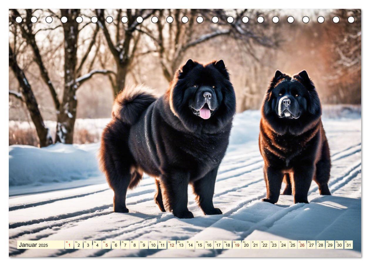 Bild: 9783457036945 | Chow Chow - der Löwenkopfhund (Tischkalender 2025 DIN A5 quer),...