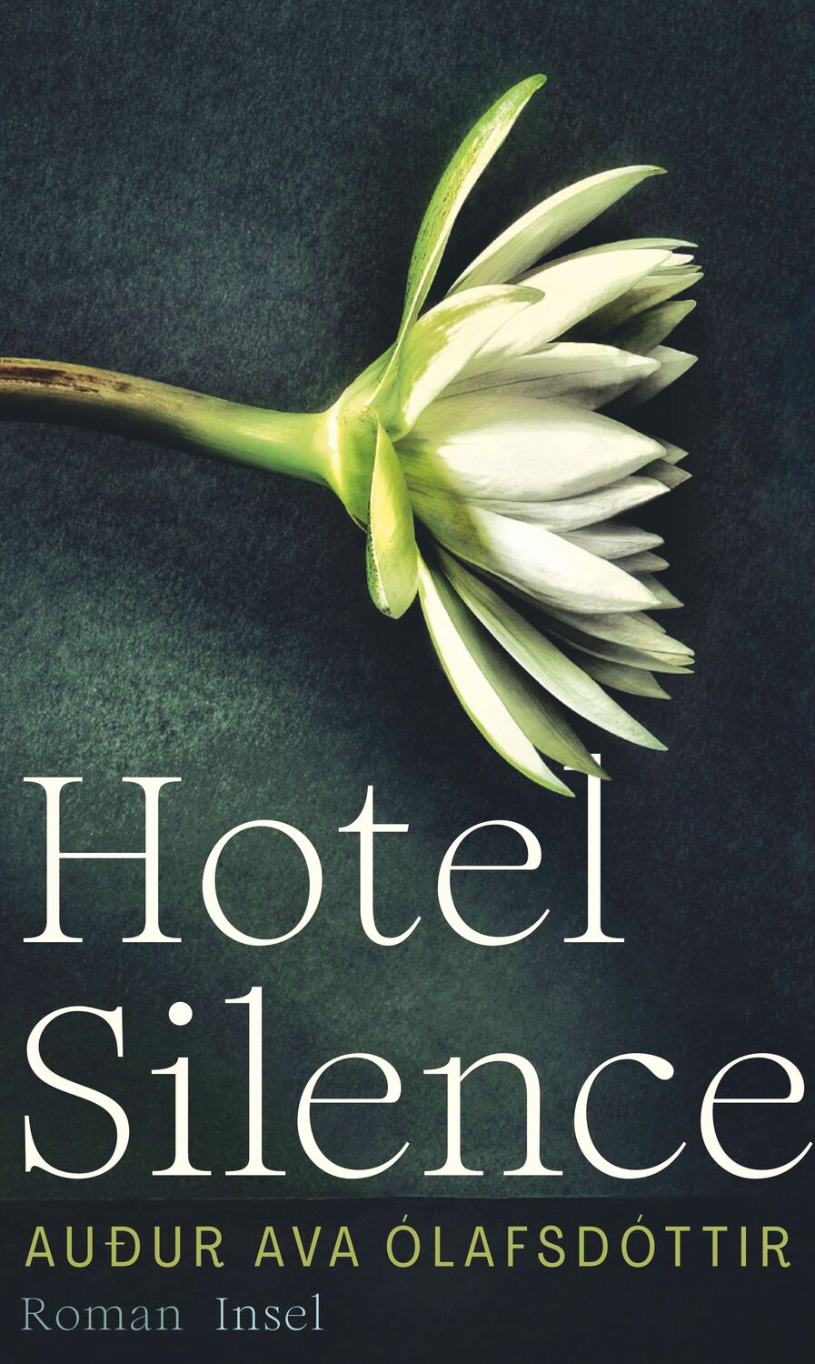 Cover: 9783458643807 | Hotel Silence | Auður Ava Ólafsdóttir | Buch | 208 S. | Deutsch | 2023