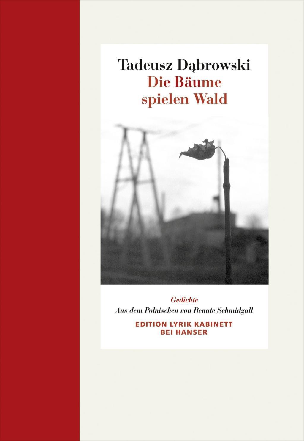 Cover: 9783446246645 | Die Bäume spielen Wald | Tadeusz Dabrowski | Buch | 104 S. | Deutsch