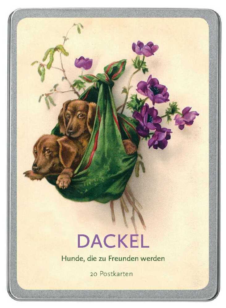 Cover: 4251517501368 | Dackel | Hunde, die zu Freunden werden. 20 Postkarten | Deutsch | 2018